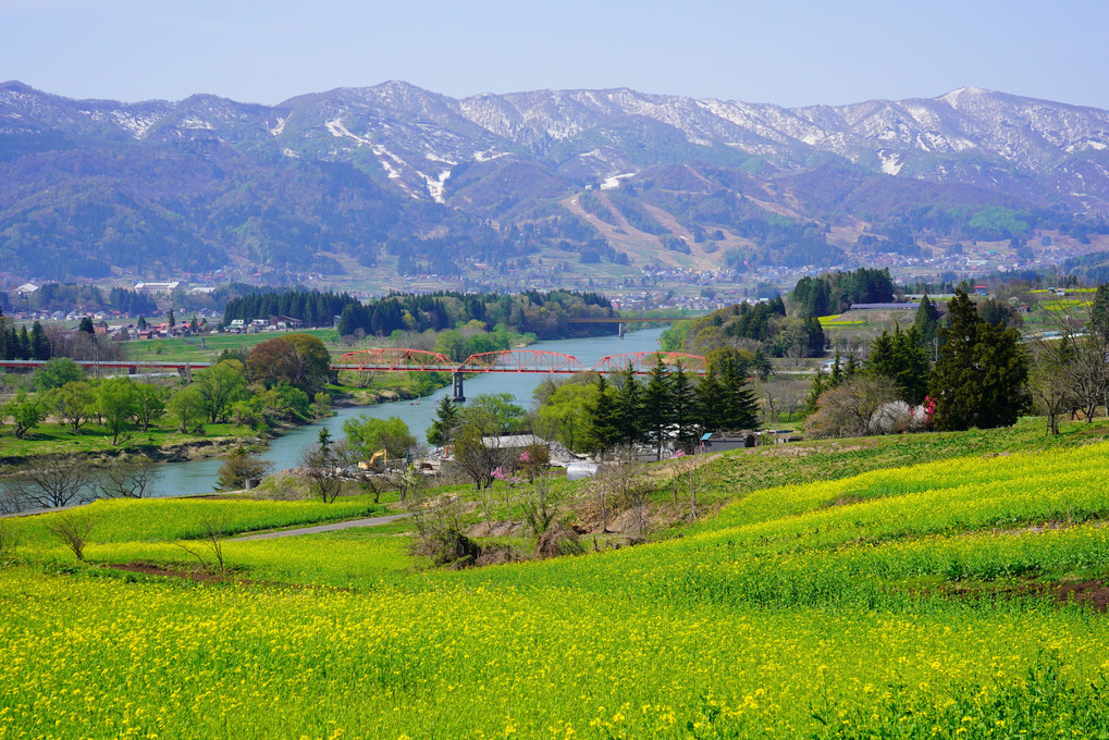 信州花紀行