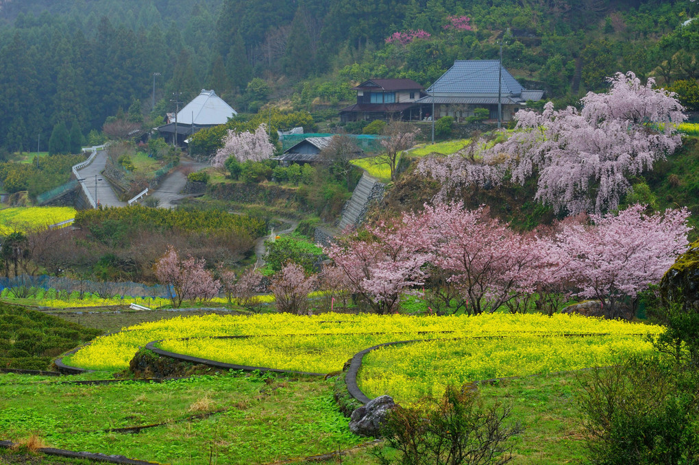 春の旅