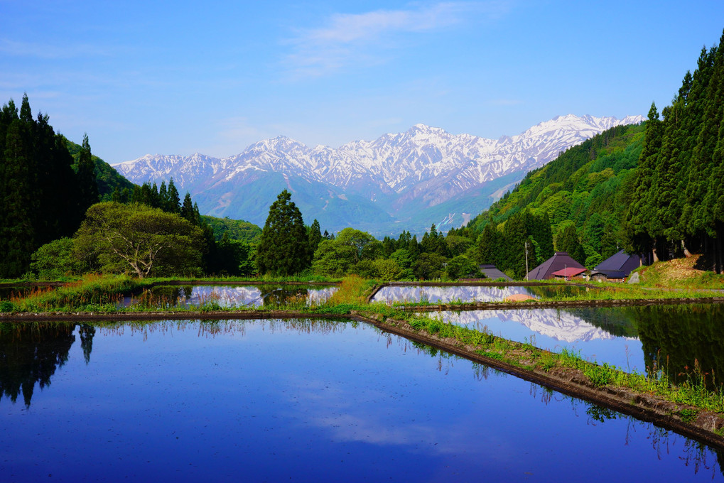 青鬼の棚田