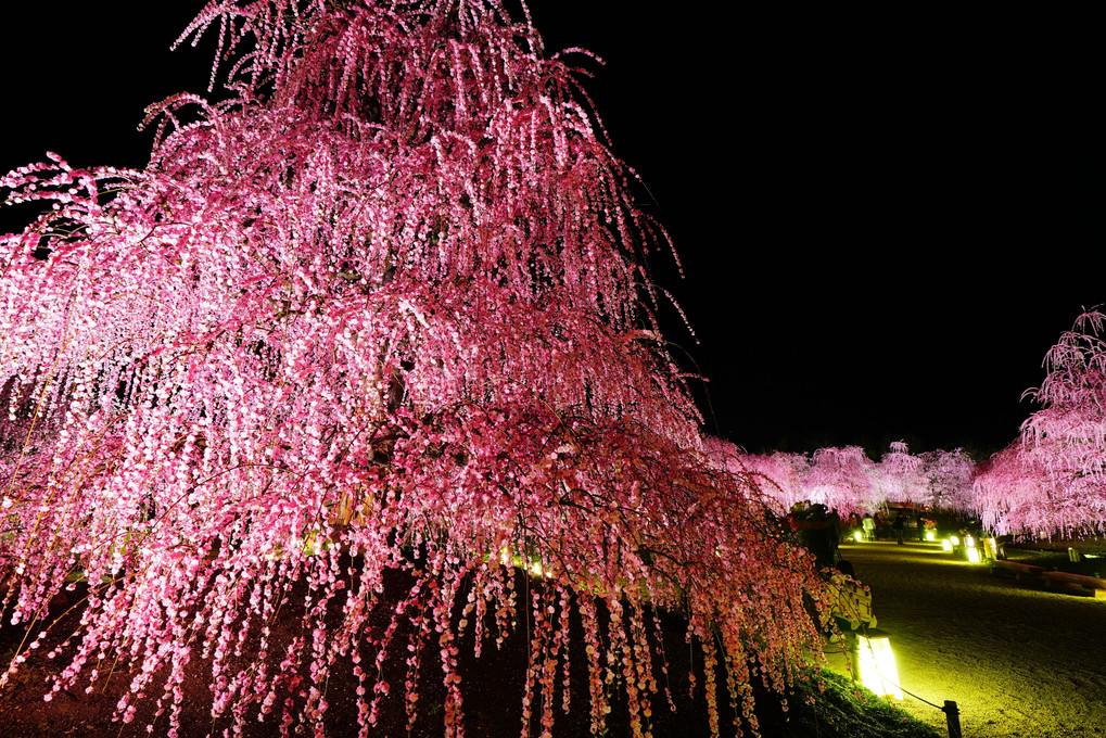 花火のように