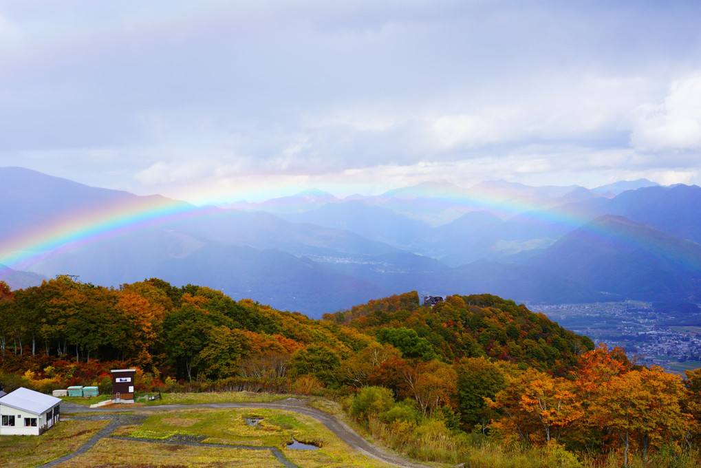 白馬五竜高山植物園