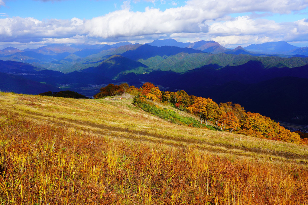 白馬五竜高山植物園