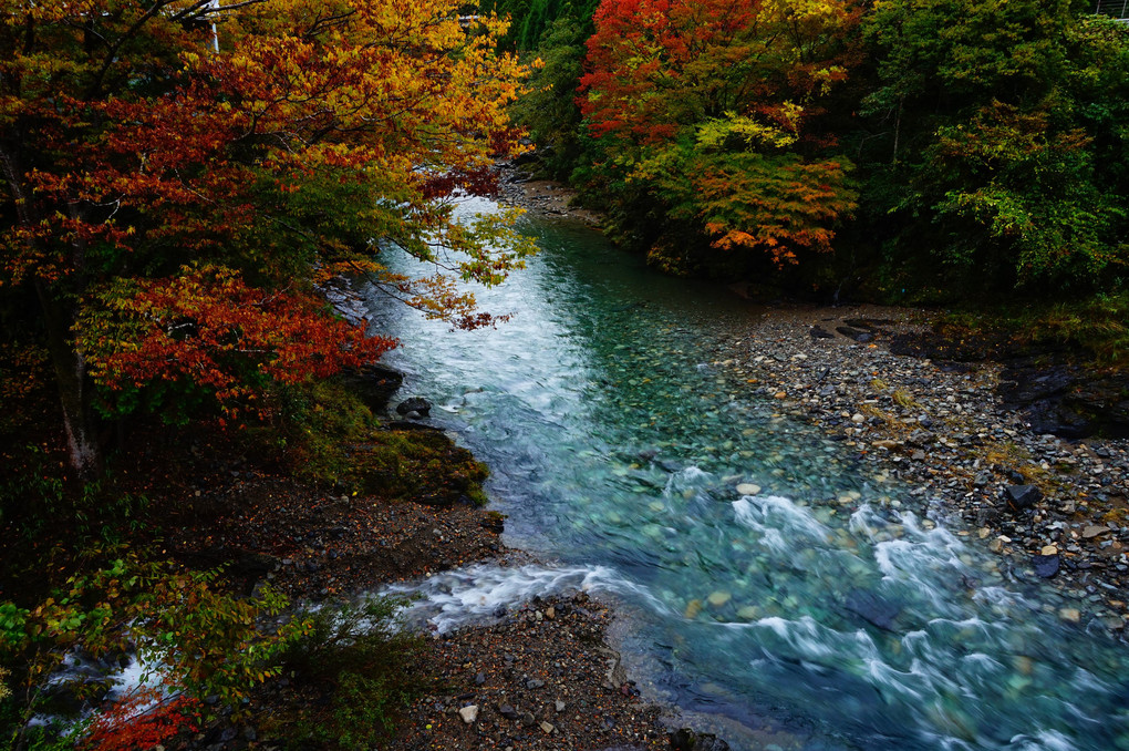 紅葉する天川村