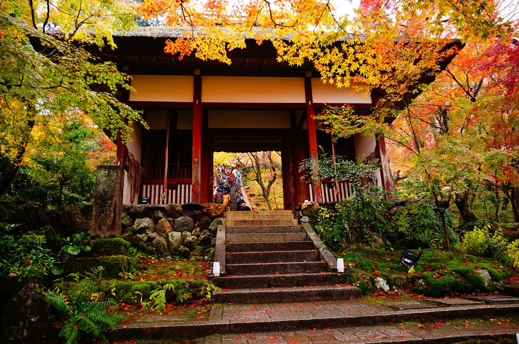 常寂光寺の紅葉