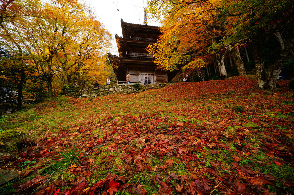 秋彩の高源寺