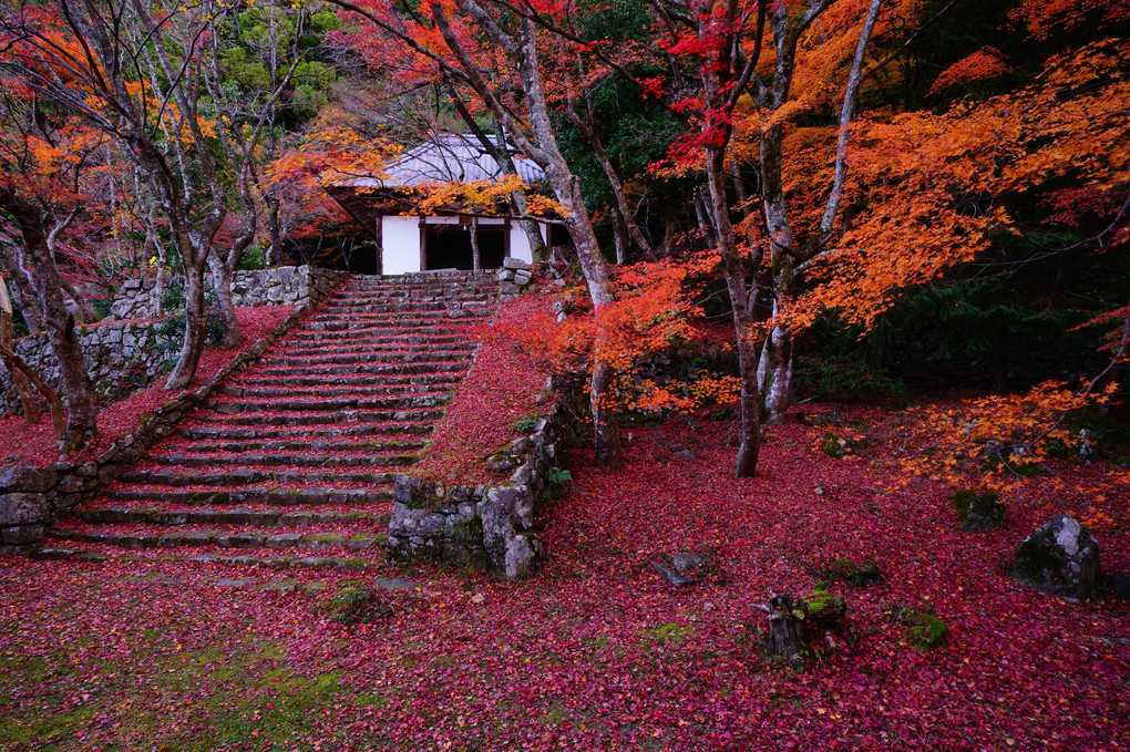 晩秋の山寺