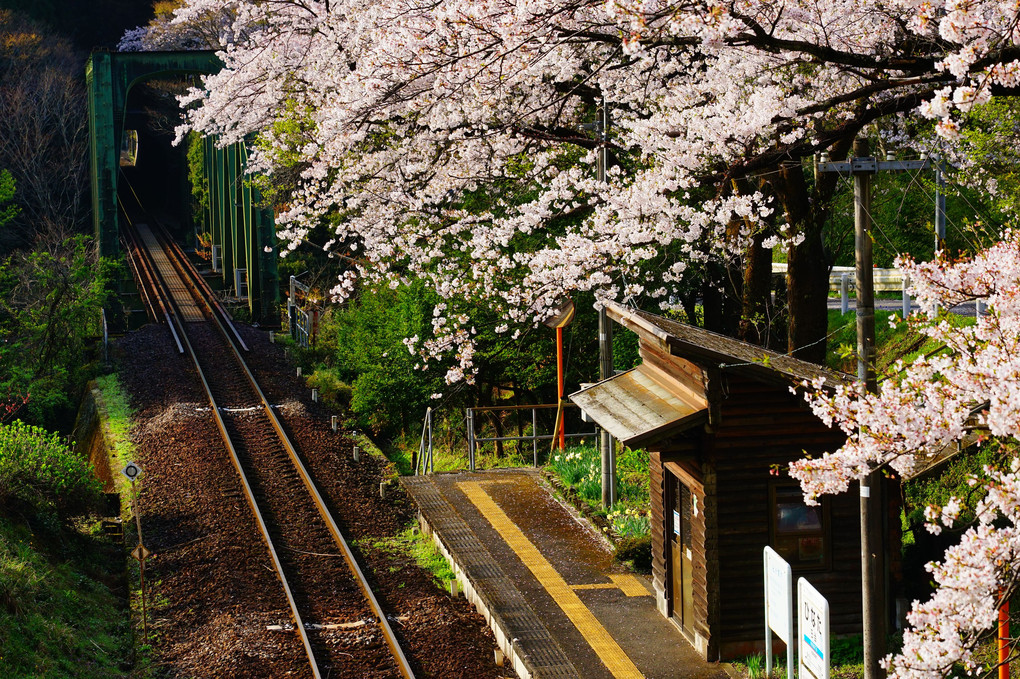 樽見鉄道　日当駅