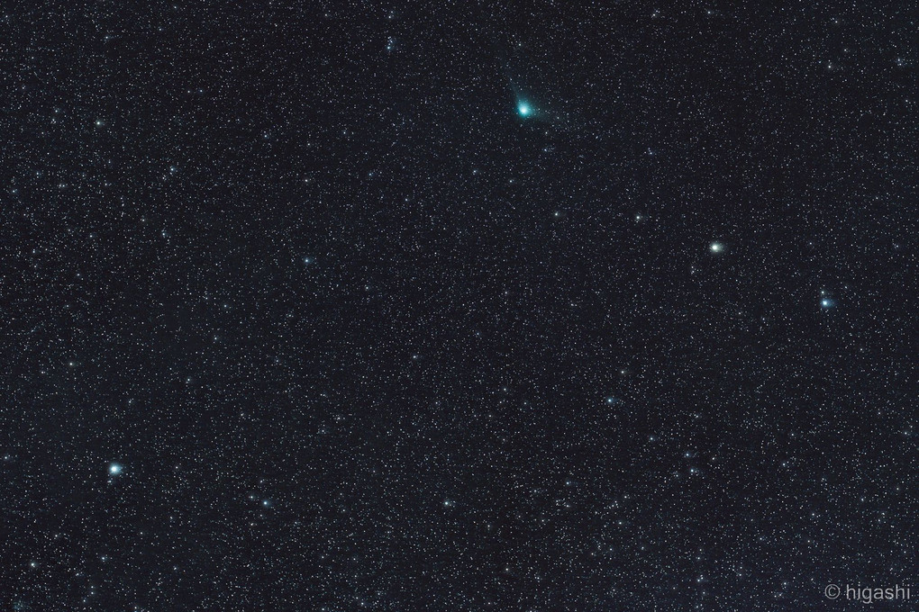 こぐま座とZTF彗星