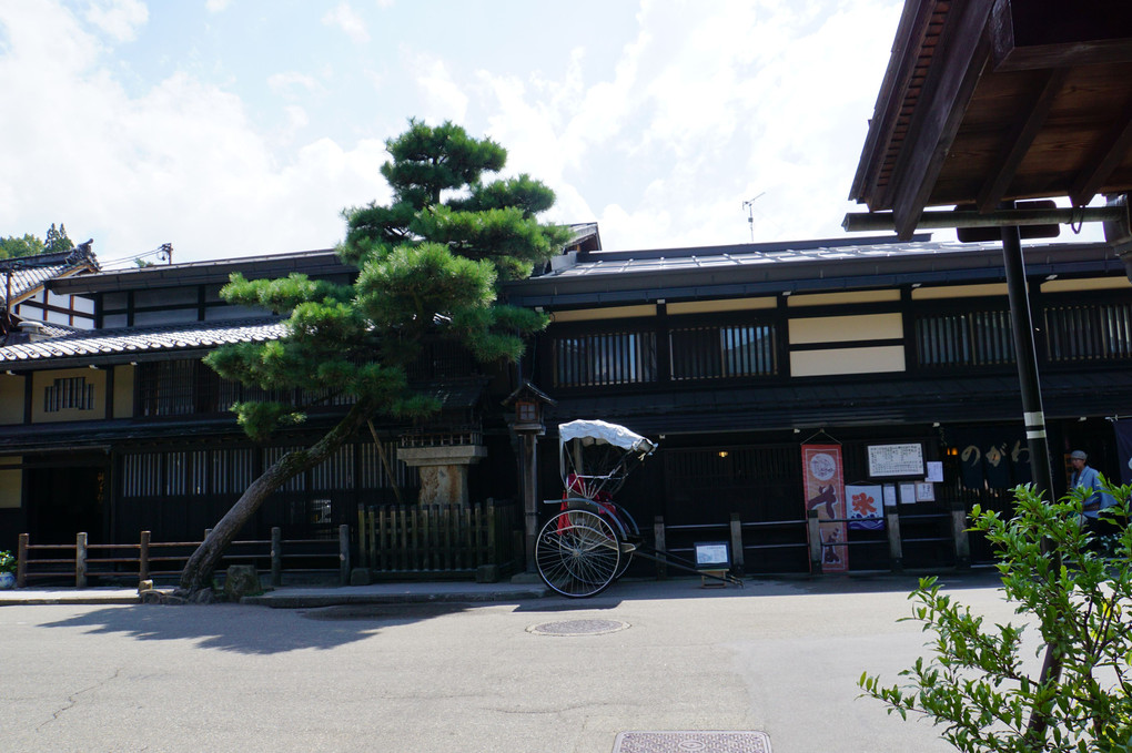 日本の夏