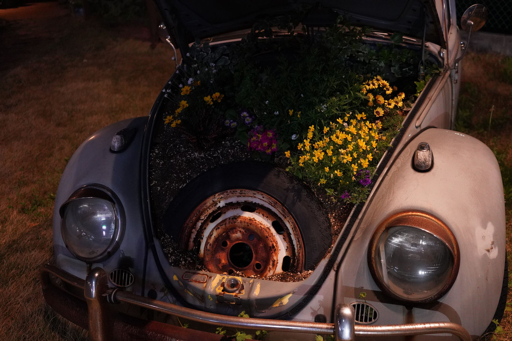 車の花壇