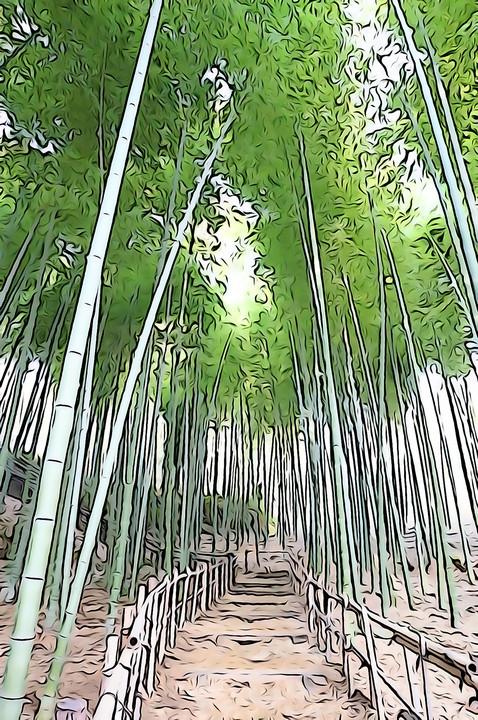 竹の撮り方