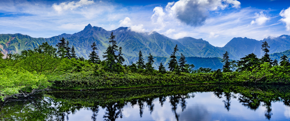 夏山万歳‼️