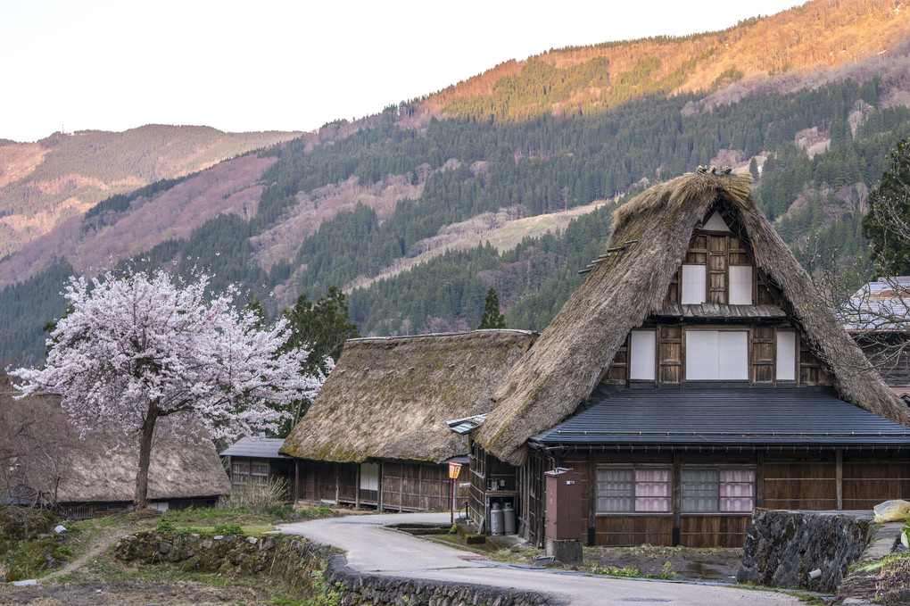 五箇山の春