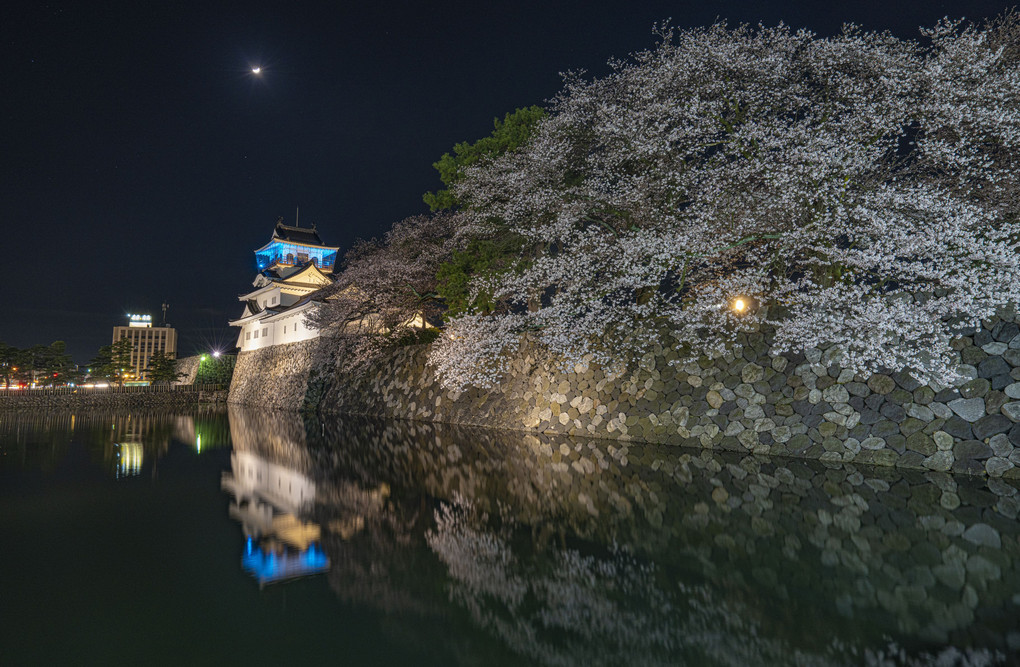 富山の夜桜いろいろ