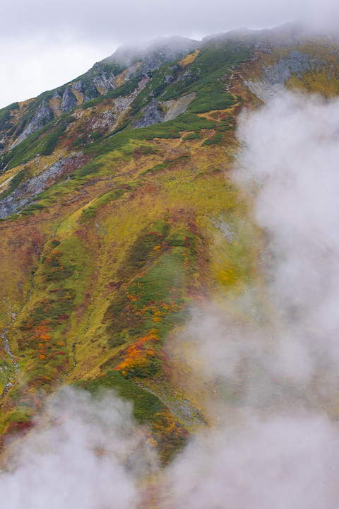 立山錦繍