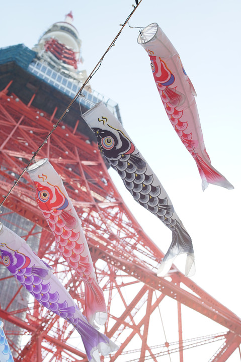 鯉のぼり東京タワー目指して