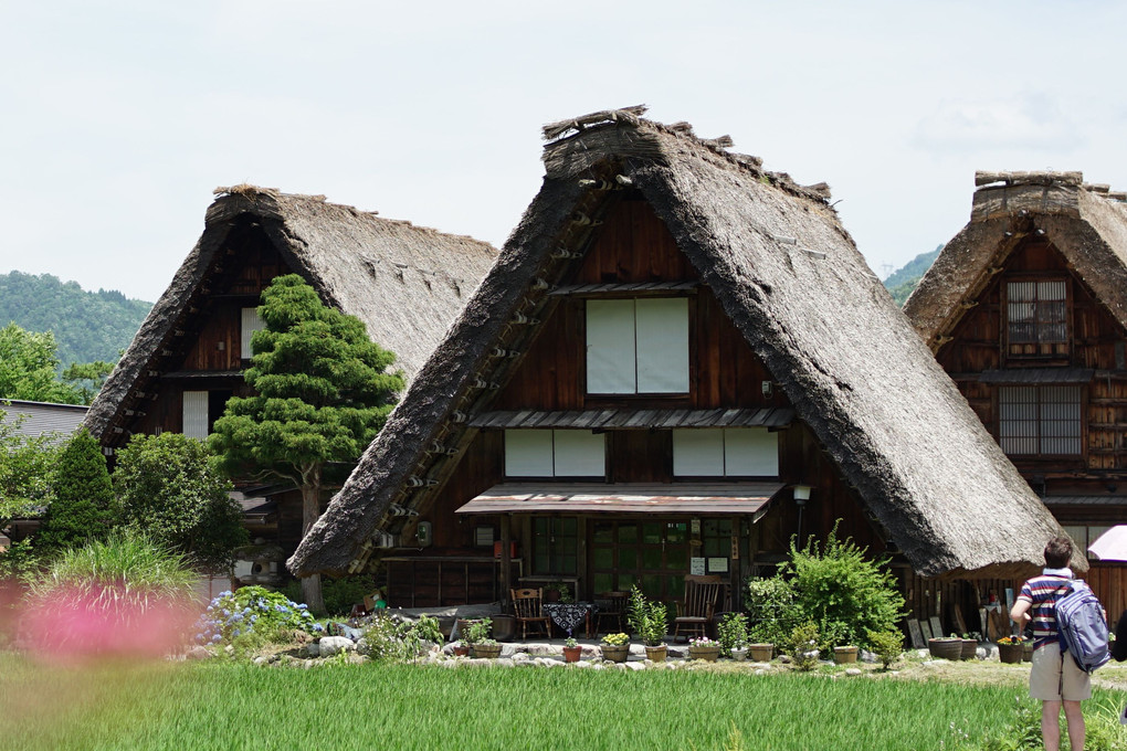 初夏の世界遺産