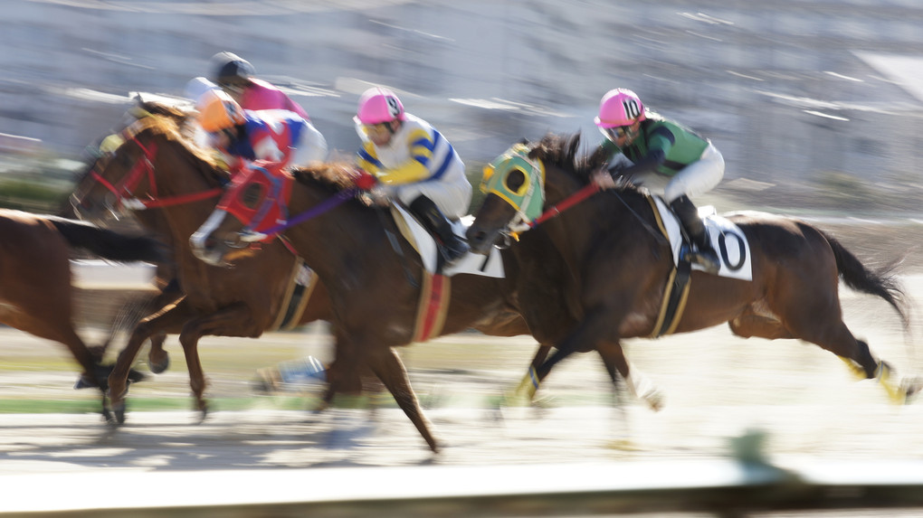 名古屋競馬場、流し撮り