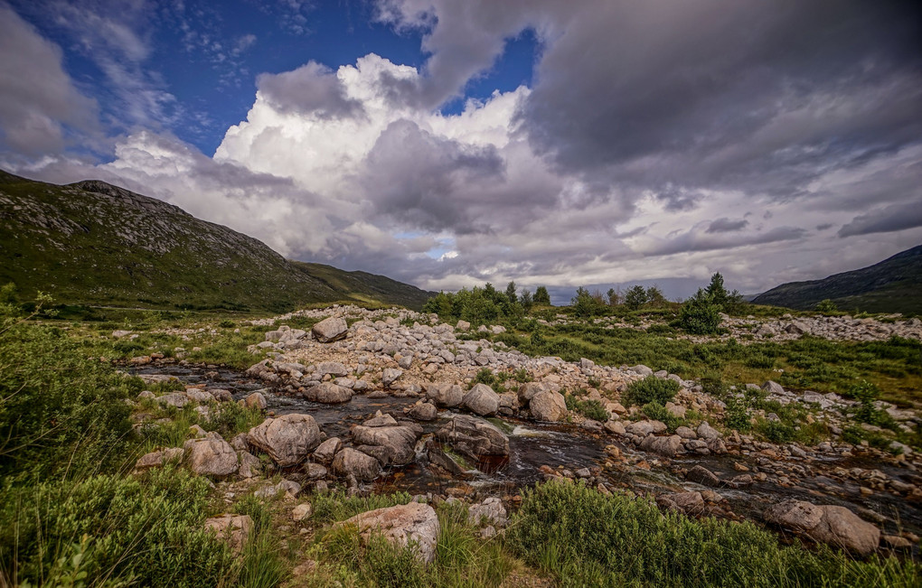 Wild Scotland