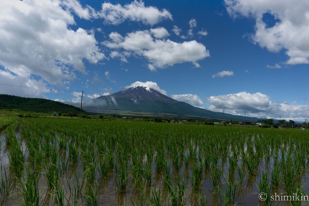 富士ヶ嶺は　梅雨の晴れ間に　笠かぶる