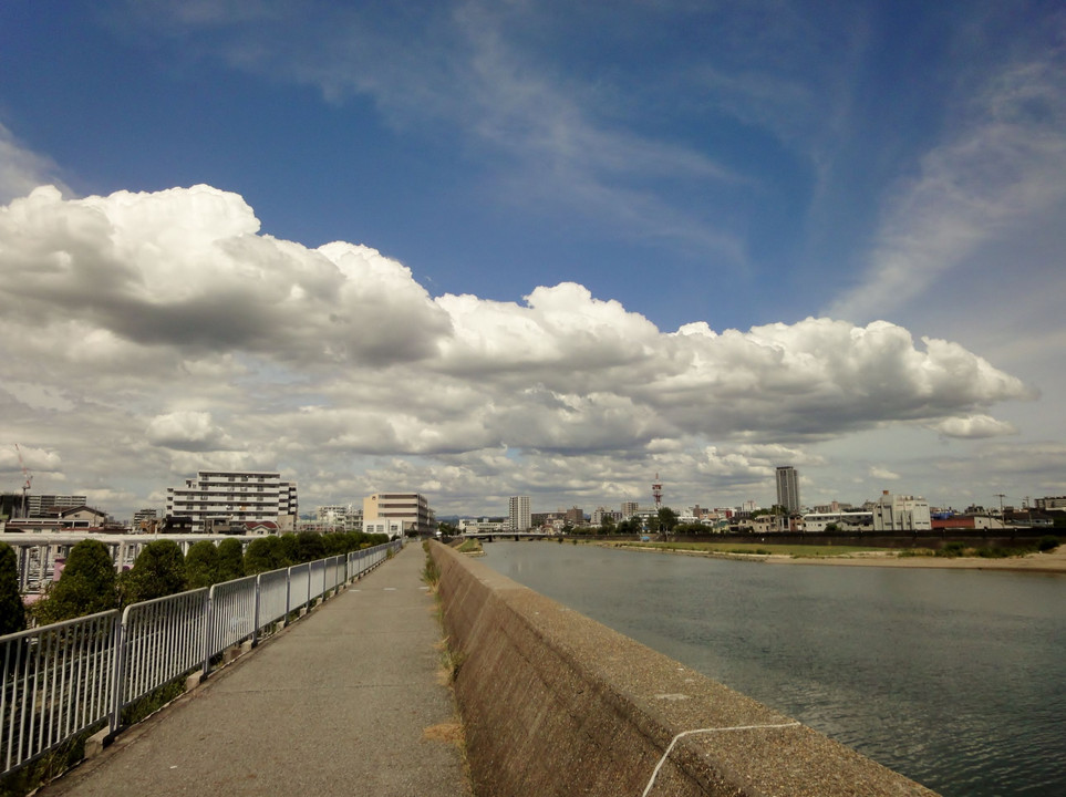 暑い夏の昼に、サイクリングしてきました！！