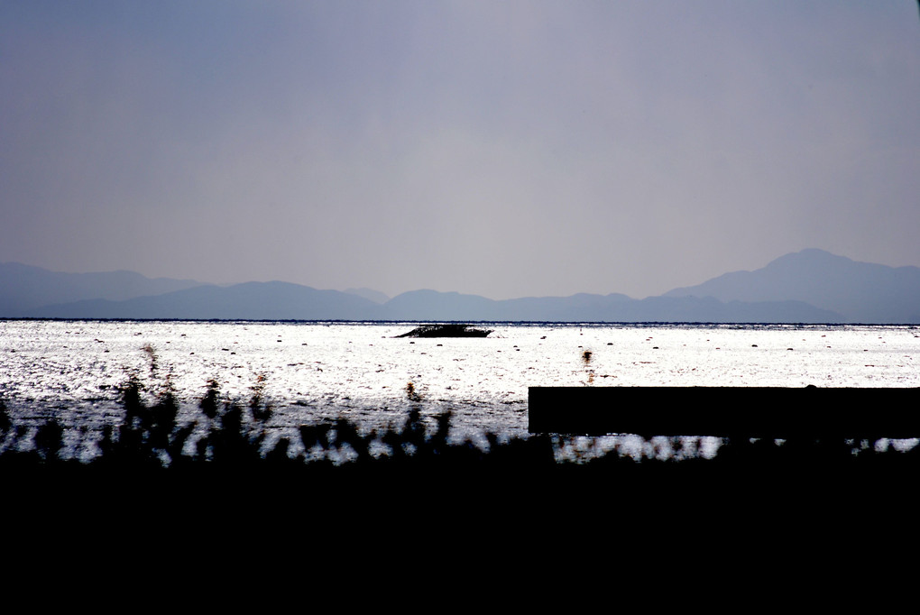 冬の海に浮かぶ