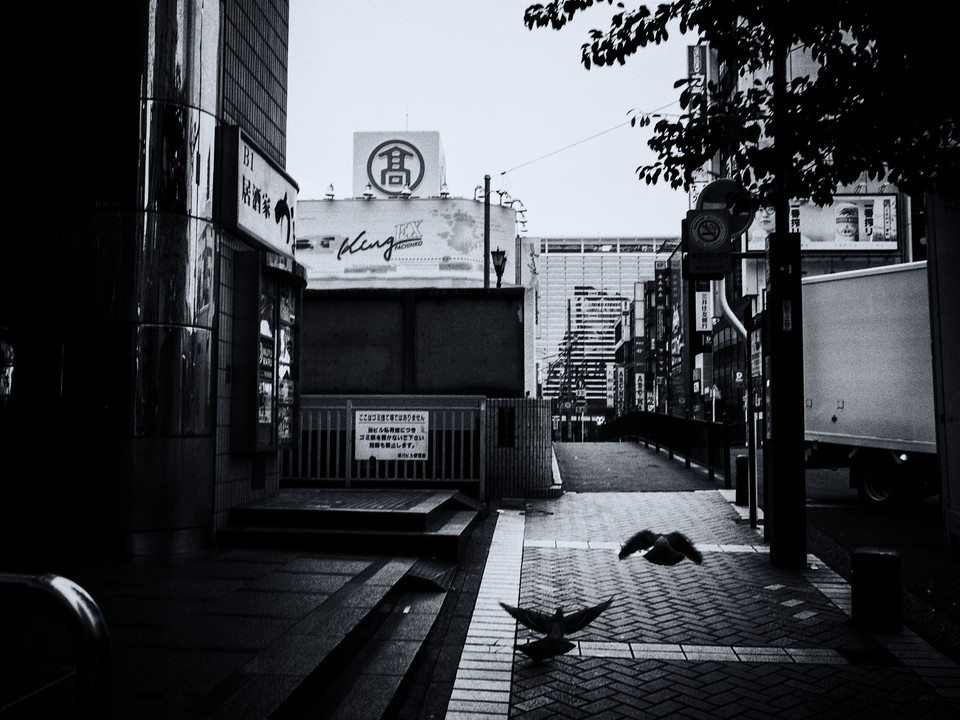 朝の横浜駅近く