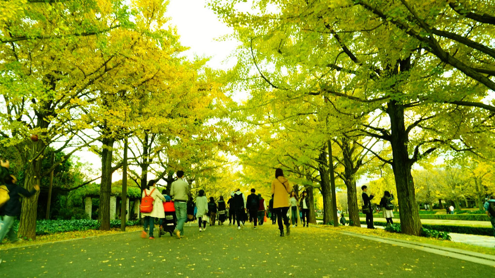 秋を探しに昭和記念公園