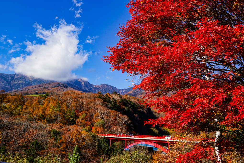 八ヶ岳の紅葉