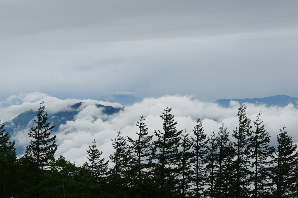 富士山五合目からの雲海