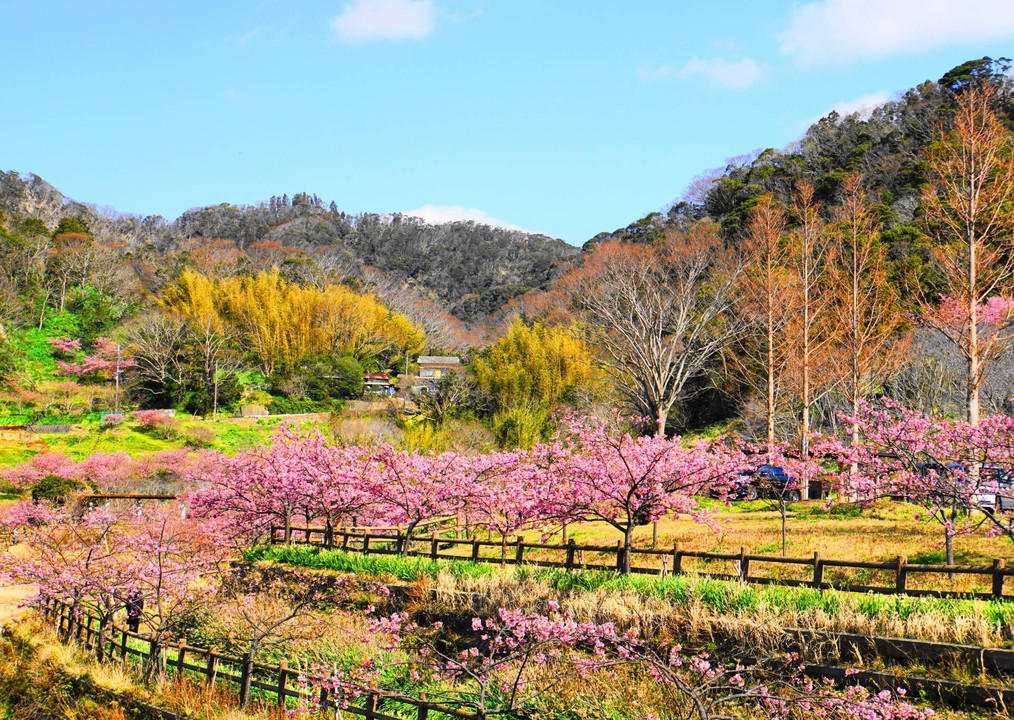 千葉県佐久間ダム２