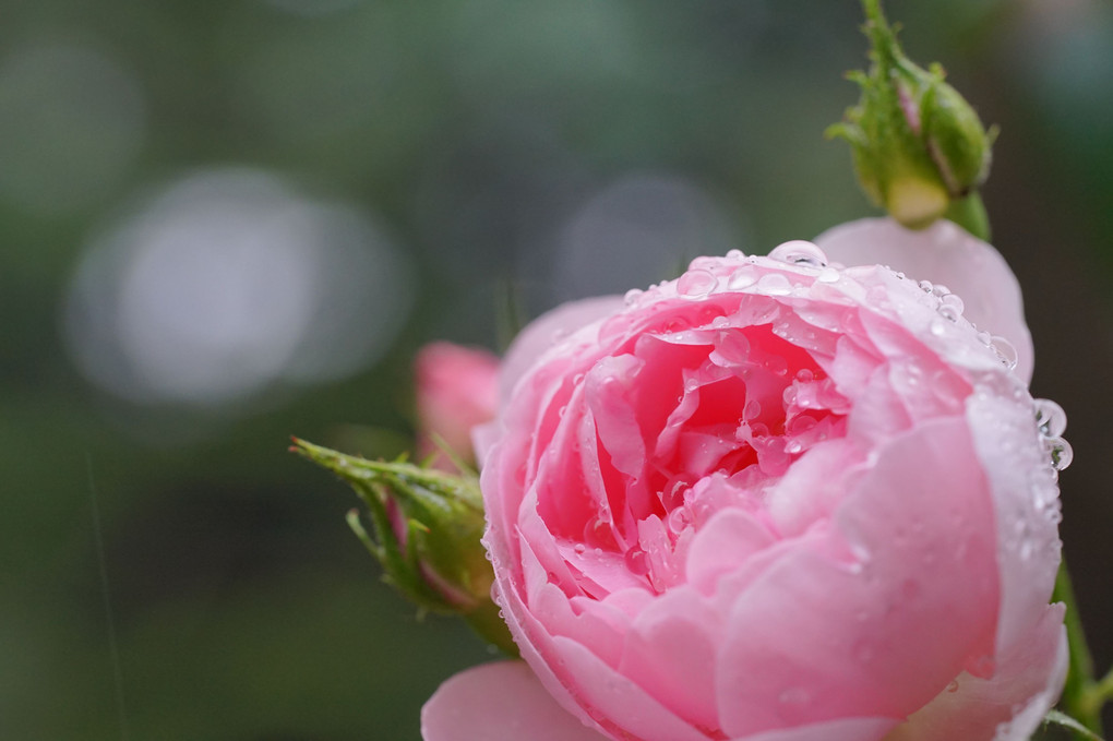 雨よ降らないで