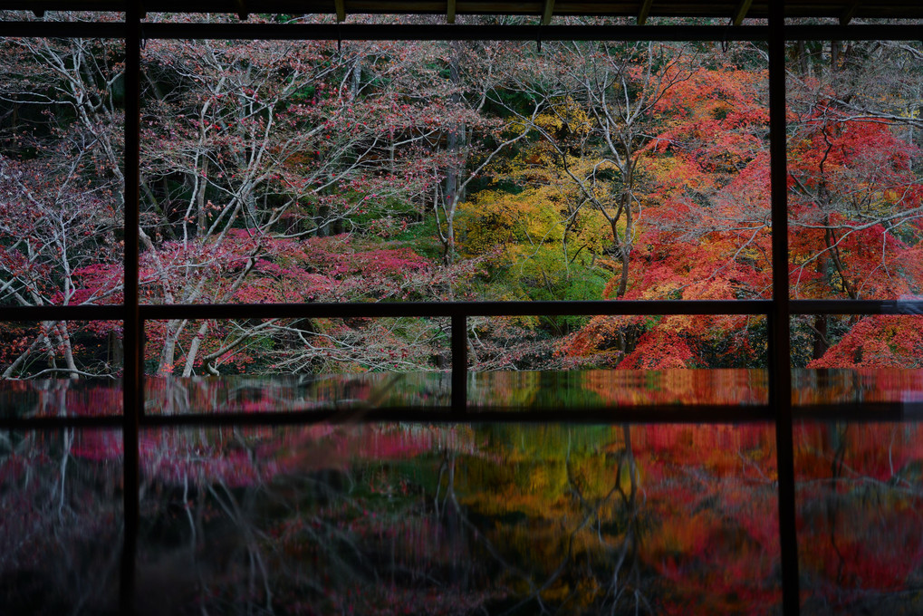 京都の秋2018