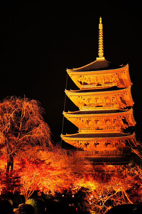 そうだ京都行こう2019秋～東寺～