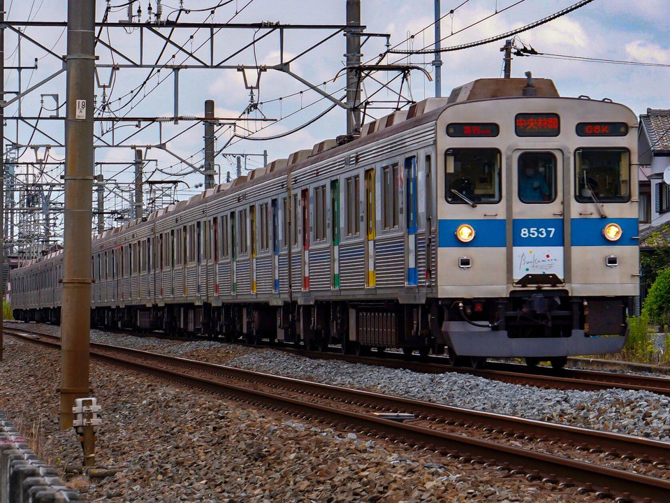 東急のラッピングトレイン8500系「Bunkamura号」