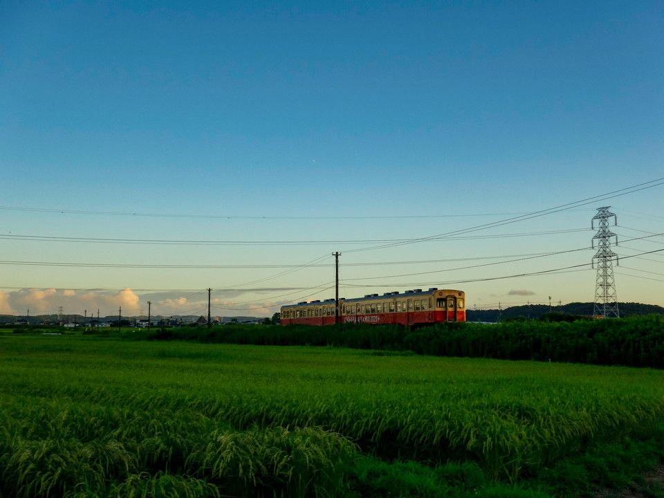 真夏の田園風景と小湊鉄道