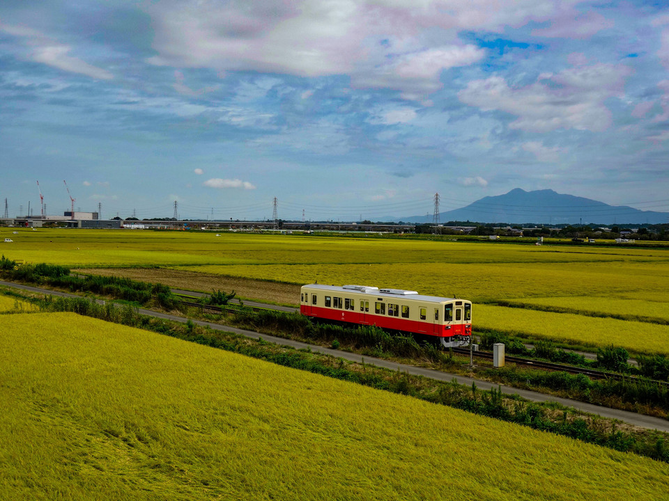 黄金色の田園風景、筑波山と関東鉄道常総線