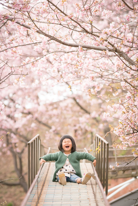 河津桜とワタシ