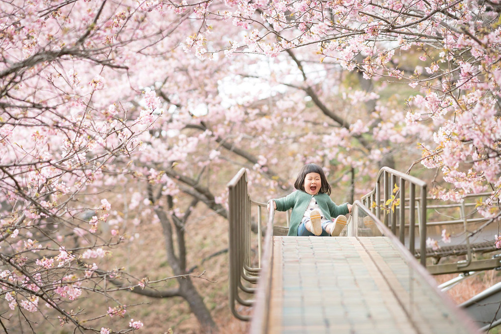 河津桜とワタシ