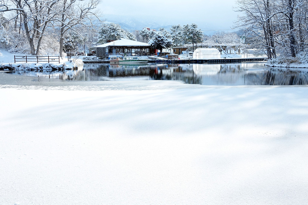 湖畔の朝