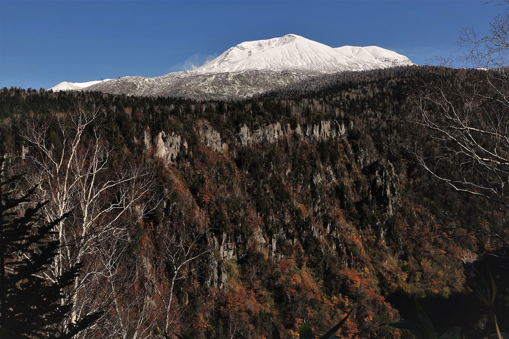 滝見台からの旭岳