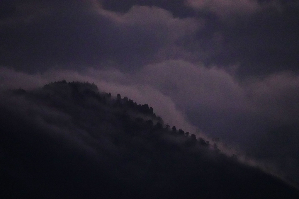 ダージリンの雲海