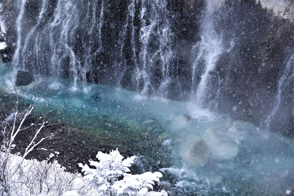 雪の白髭の滝