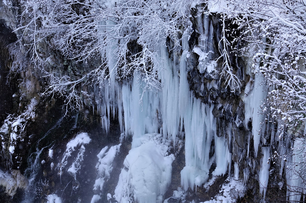 雪の白髭の滝