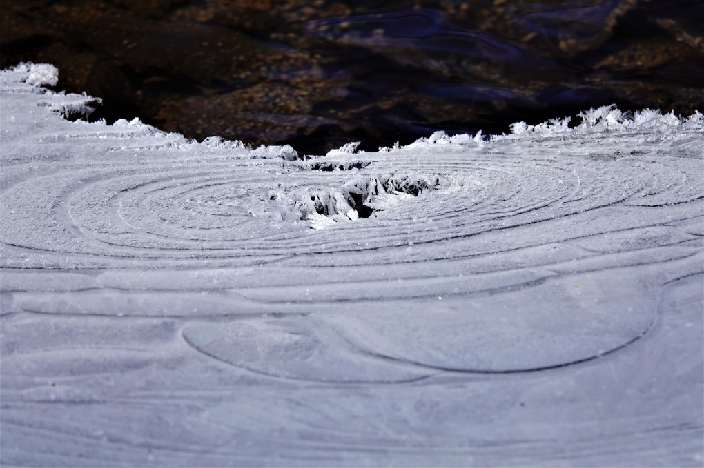 凍る岸辺の模様