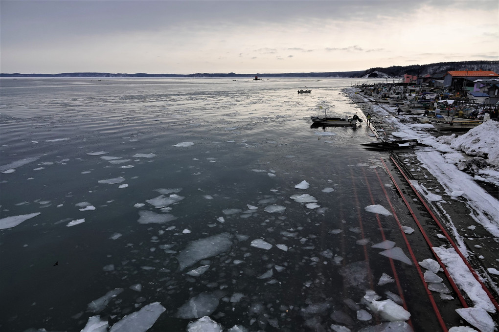 厚岸湖の冬の漁