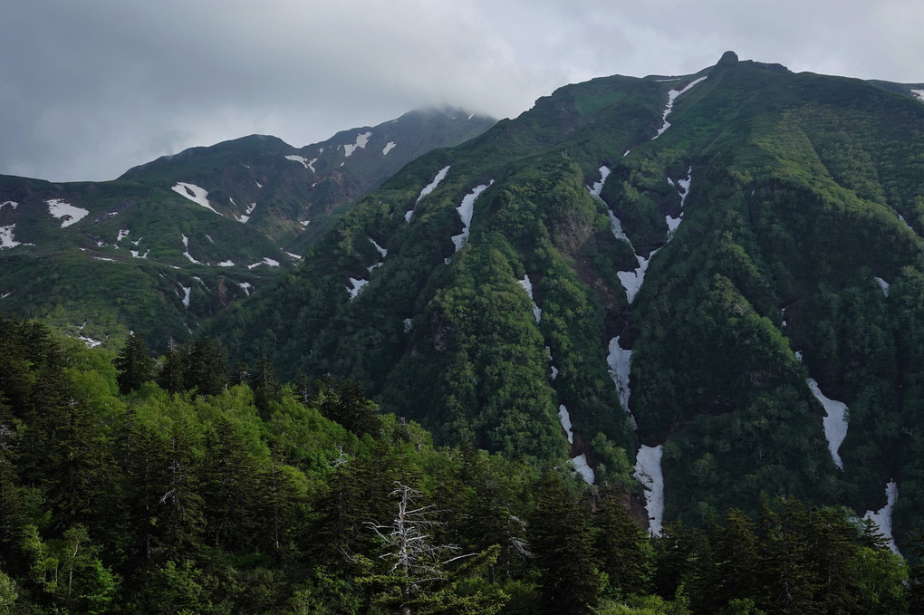 富良野岳