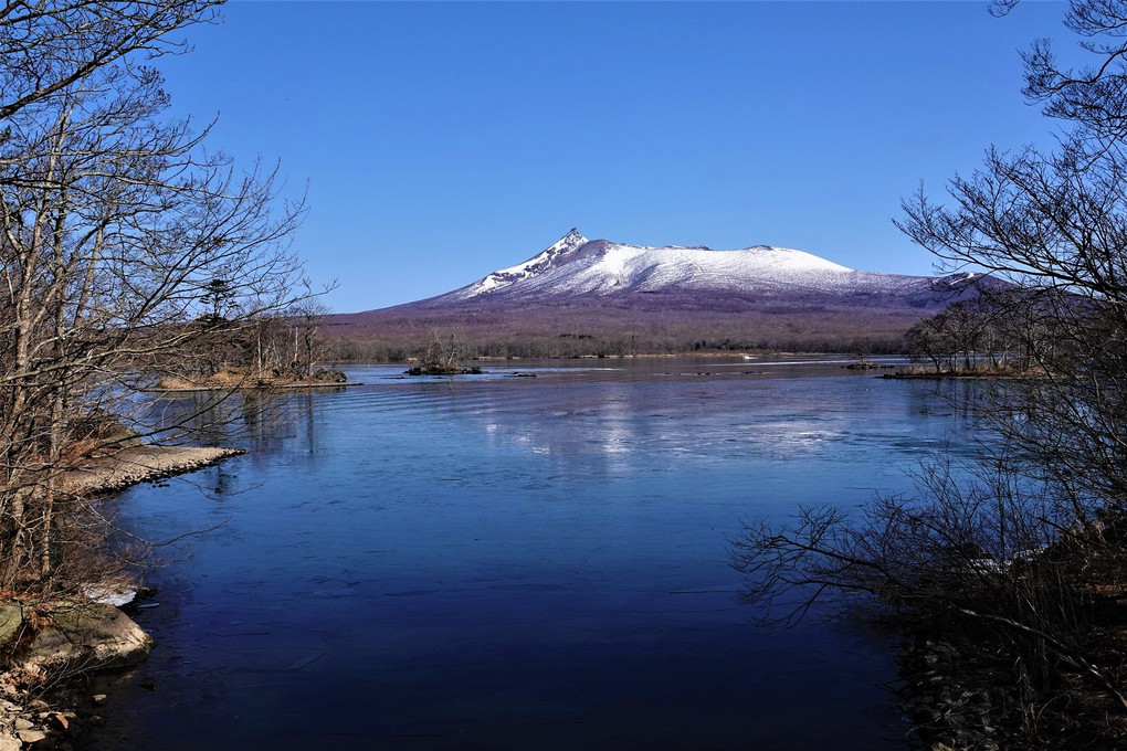 春の駒ケ岳