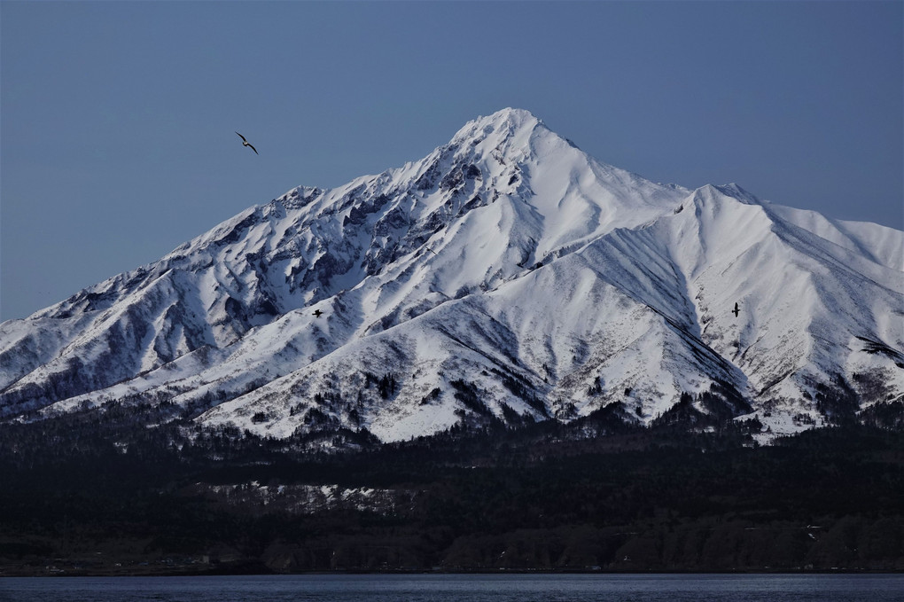 利尻島へ渡る