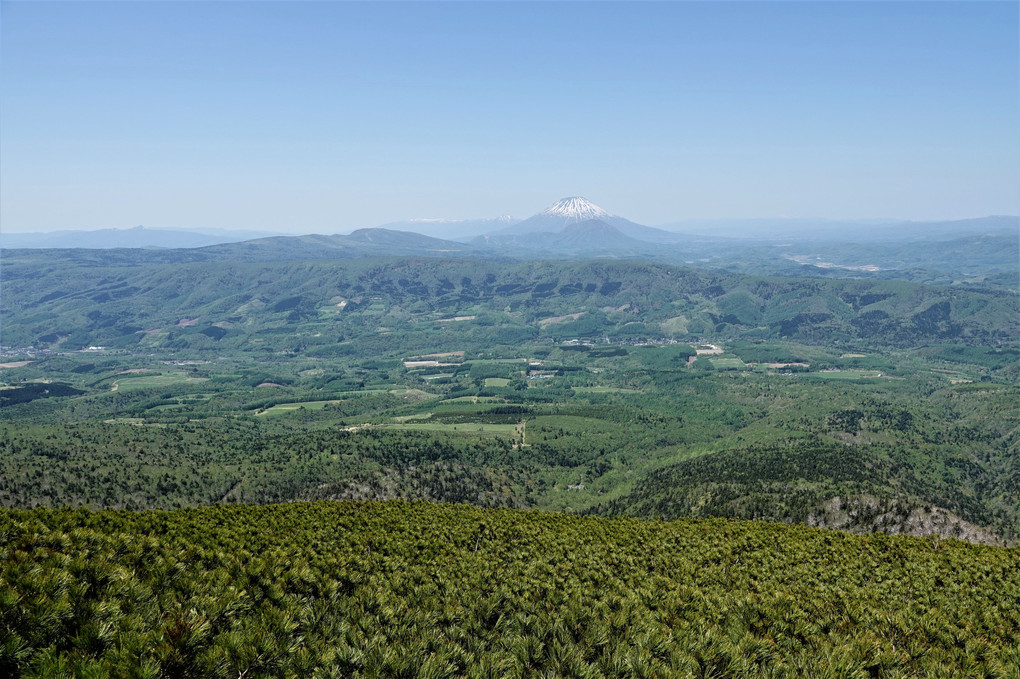 徳舜瞥山登山-3  春の花一覧